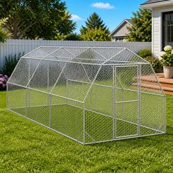 Elevate Your Outdoor Space with Our Chicken Run 2.5x6x2.25m