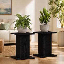 Enhance Your Space with Black Plant Stands, Set of 2
