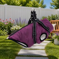Versatile Purple Dog Coat L36 for Outdoor Adventures