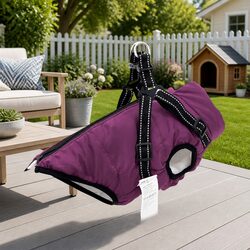 Enhance Your Pet’s Outdoor Experience with This Dog Coat
