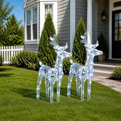 Enhance Your Yard with 2pc Cold White LED Christmas Reindeer