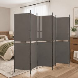 Enhance Your Space with a Stylish 6-Panel Divider