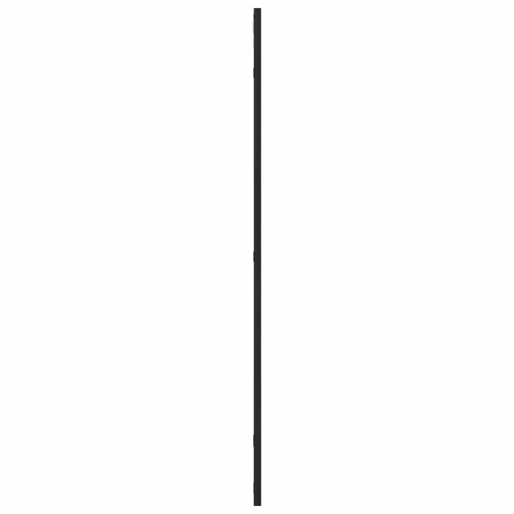 Wall Mirror 50x100 cm Black Iron Frame Minimalist Home Decor