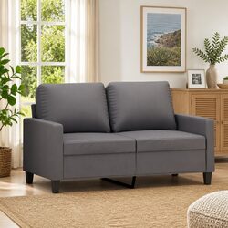 Modern Grey 2-Seater Sofa for Cozy Living Spaces