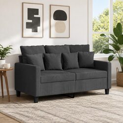 Transform Your Living Space with Grey 2-Seater Sofa
