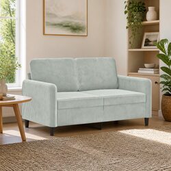 2-Seater Sofa Grey Velvet 120cm Modern Living Room Couch Comfortable Padded