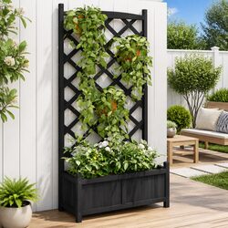 Enhance Your Outdoor Space with a Trellis Planter