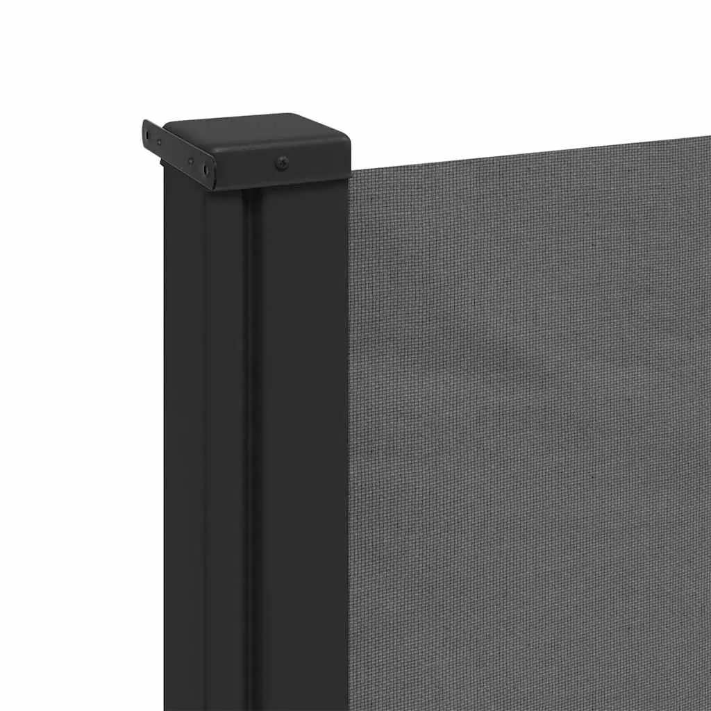 Retractable Side Awning 100x300cm Anthracite Outdoor Privacy Shade