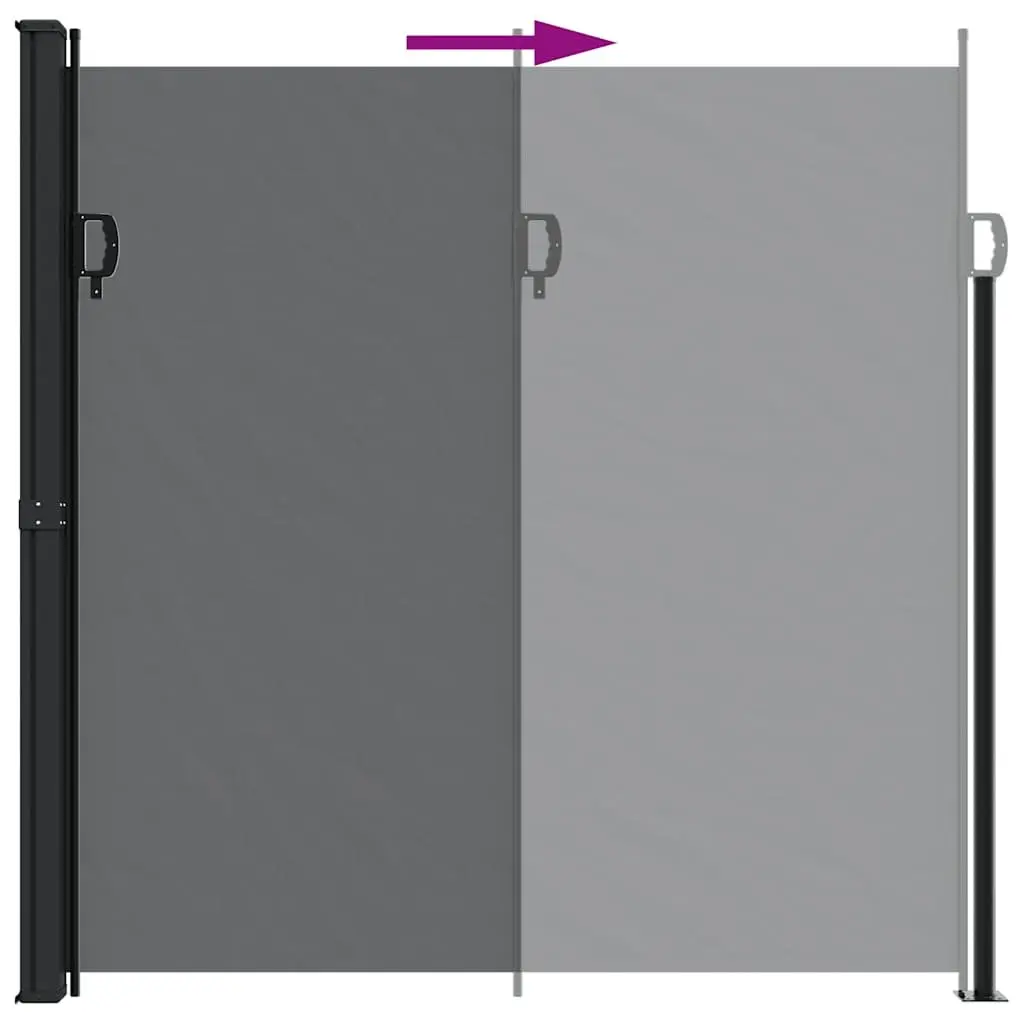 Retractable Side Awning 200x300cm Black Outdoor Garden Privacy Screen