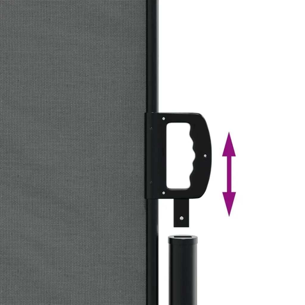 Retractable Side Awning 180 x 1000 cm Outdoor Privacy Screen Water and UV Resistant