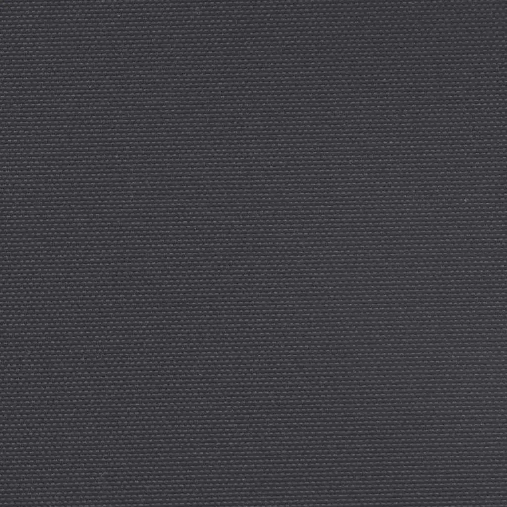 Retractable Side Awning Screen 220x1200cm Black Water and UV Resistant Garden Patio Privacy Shade Panel