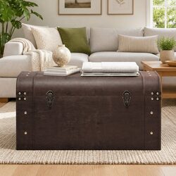 Transform Your Space with This Stylish Storage Chest
