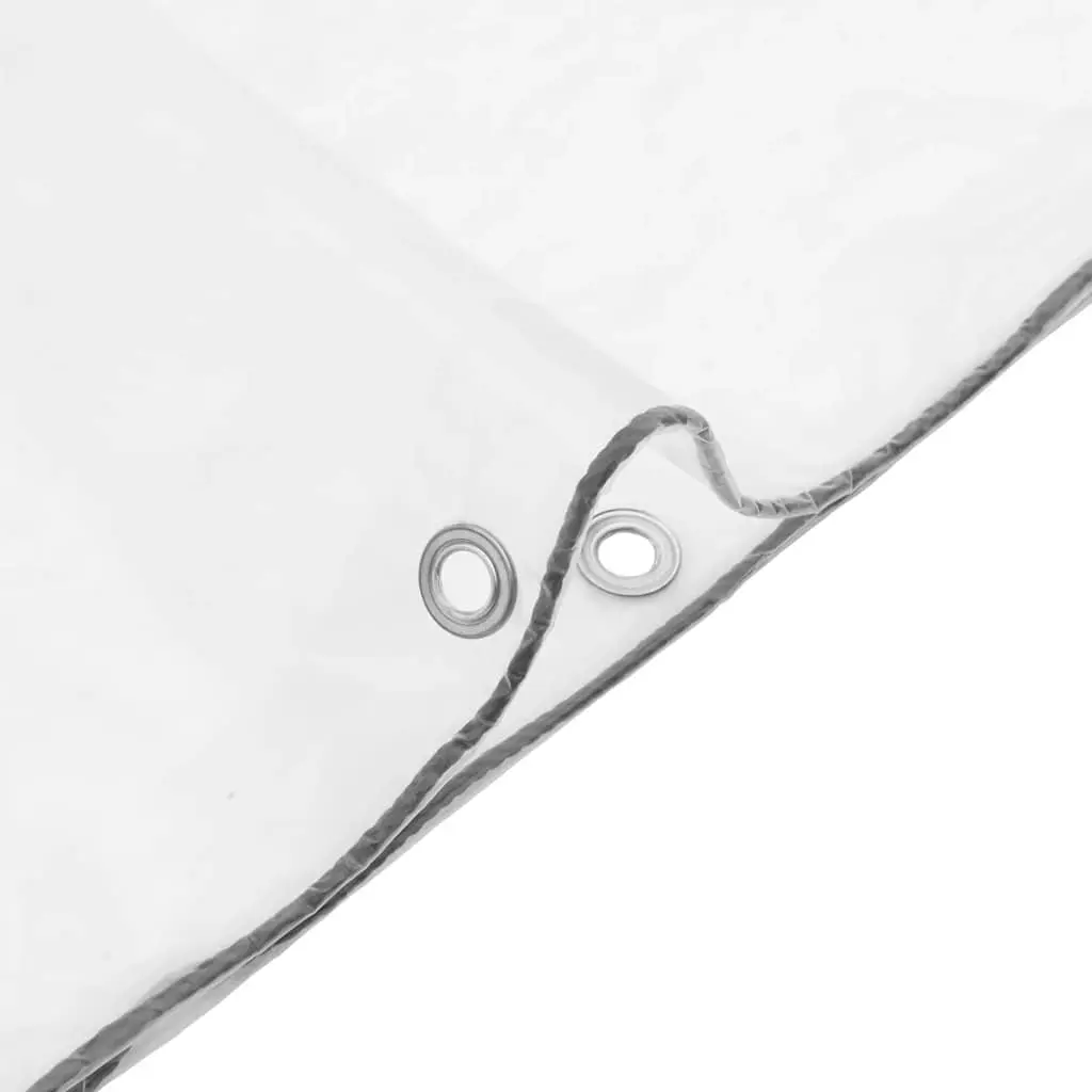 Clear Polyethylene Tarpaulin 3x6m Waterproof Transparent Outdoor Cover with Eyelets