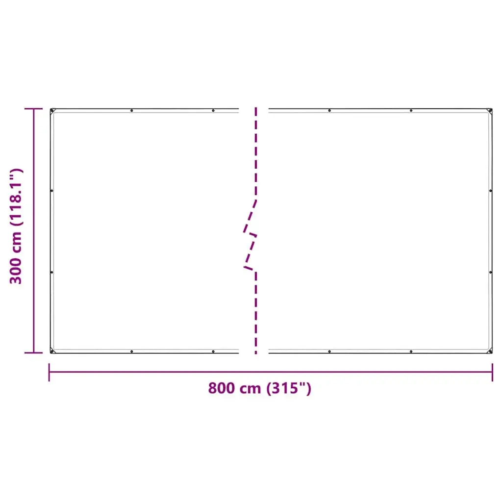 Clear Tarpaulin 3x8m Polyethylene Transparent Waterproof Cover with Eyelets
