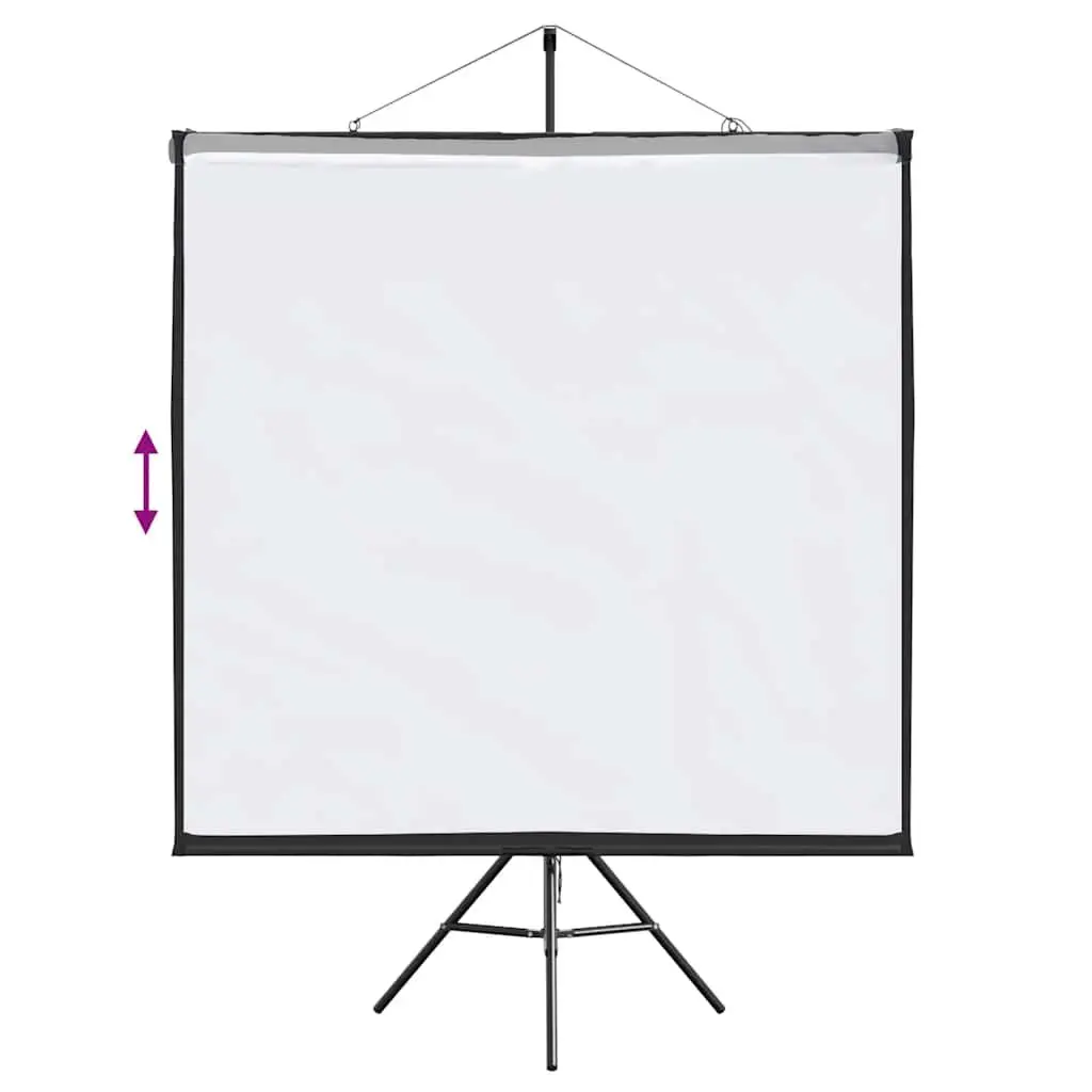 81 Inch Screen