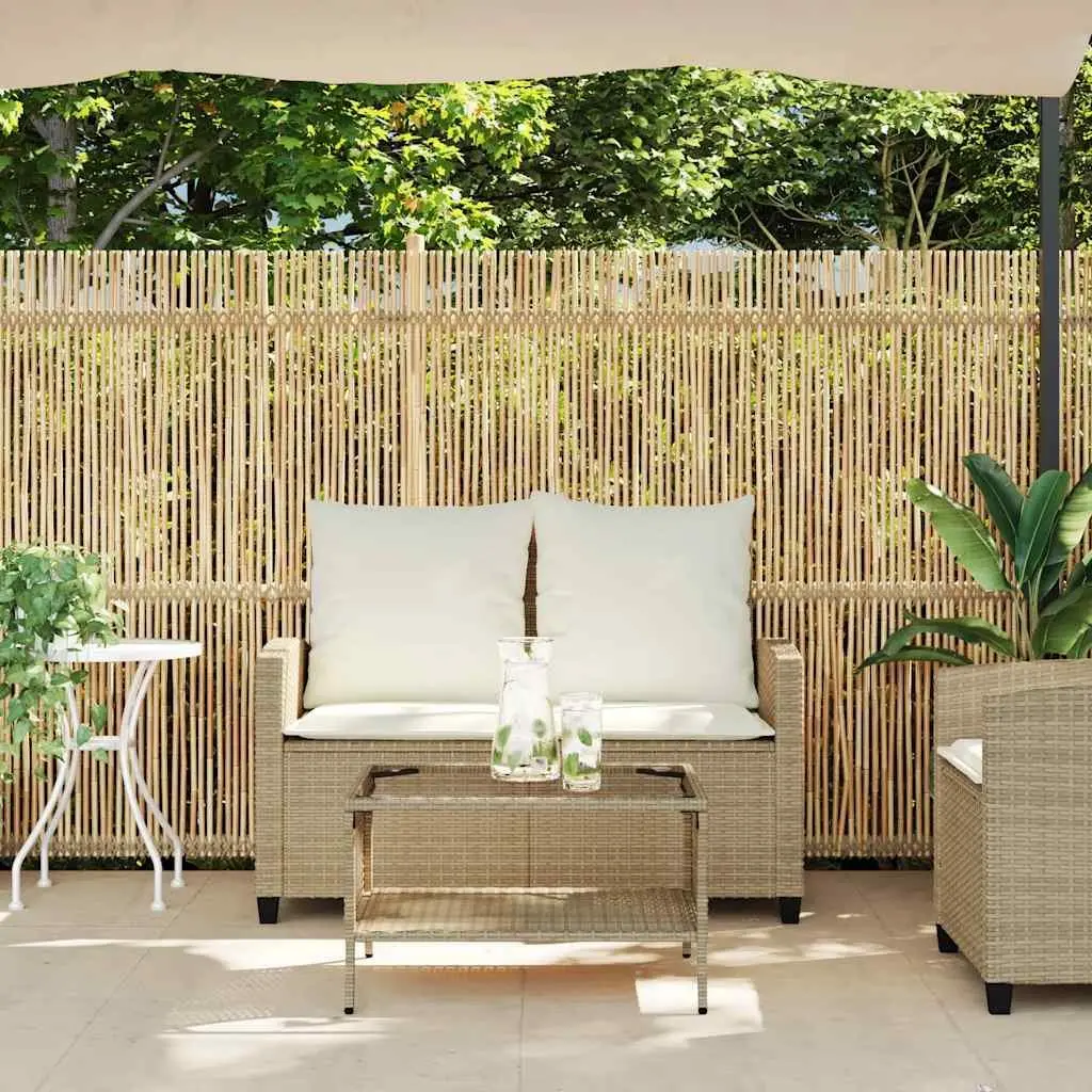 Garden Sofa 2-Seater Outdoor Lounge PE Rattan Frame Tempered Glass Table Beige
