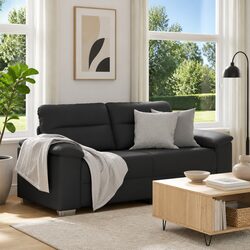 Cozy 2-Seater Sofa to Enhance Your Living Space