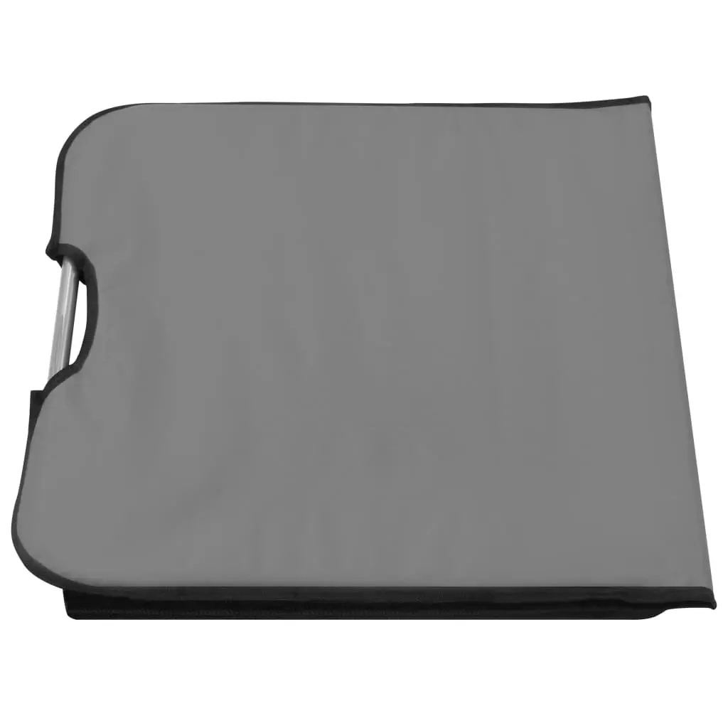Folding Beach Chair Set 2 pcs Adjustable Backrest Steel Frame Fabric Grey