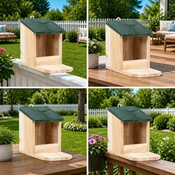 Enhance Your Outdoor Space with Squirrel Feeding Stations