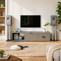 Enhance Your Space with Stylish Black Speaker Stands
