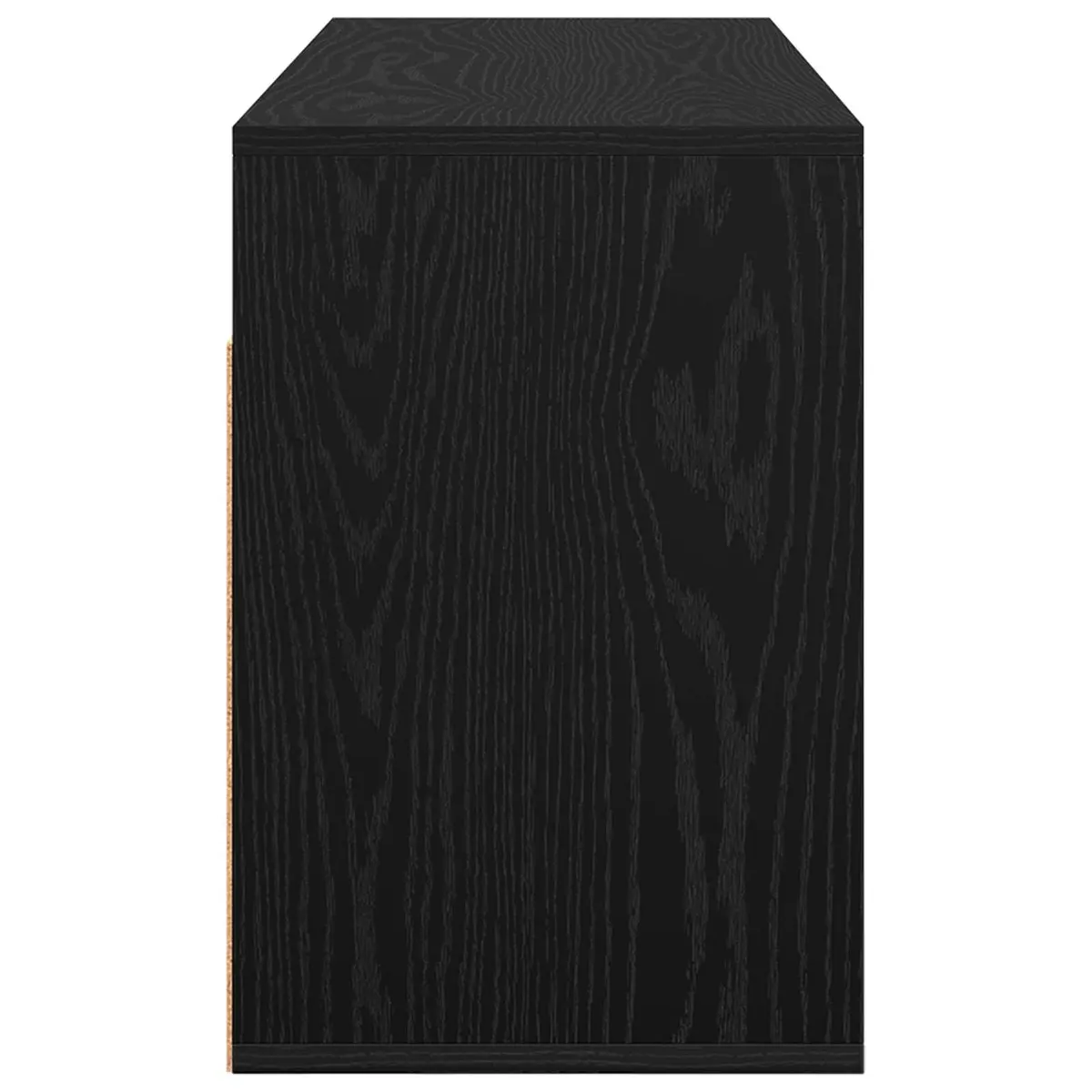 TV Lowboard 102x32x48.5cm Black Oak Modern Storage Unit