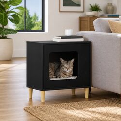 Elevate Your Space with a Stylish Black Cat Retreat
