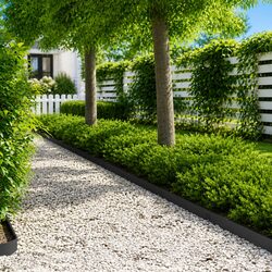 Transform Your Garden with Flexible Steel Edging Borders