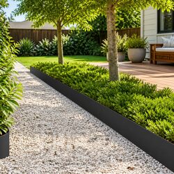 Elevate Your Outdoor Space with Black Garden Edging