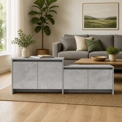 Functional TV Cabinet in Concrete Grey with Flexible Layout