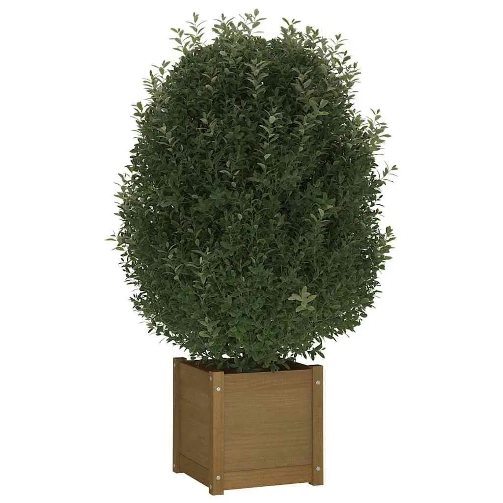 Wooden Garden Planter 40x40x40 cm Solid Pinewood Flower Box with Drainage Hole