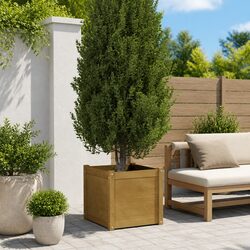 Elevate Your Outdoor Space with a Versatile Garden Planter