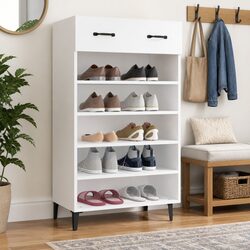 Enhance Your Space with a Stylish Shoe Cabinet