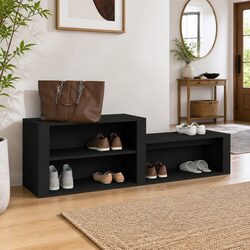 Enhance Your Space with a Stylish Shoe Cabinet in Black