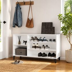Transform Your Hallway with a High-Gloss Shoe Organizer