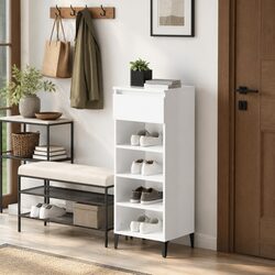 Elegant Shoe Storage Cabinet for a Tidy Home