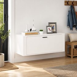 High Gloss Shoe Cabinet