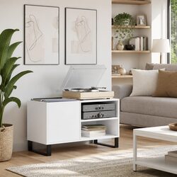 White Vinyl LP Organizer for Enhanced Living Spaces