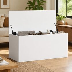 Enhance Your Living Space with a Functional Storage Box