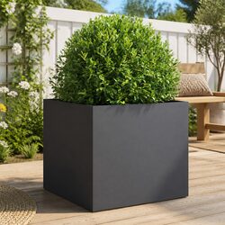 Enhance Your Outdoor Space with an Anthracite Steel Planter