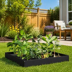 Elevate Your Outdoor Space with a Steel Garden Bed