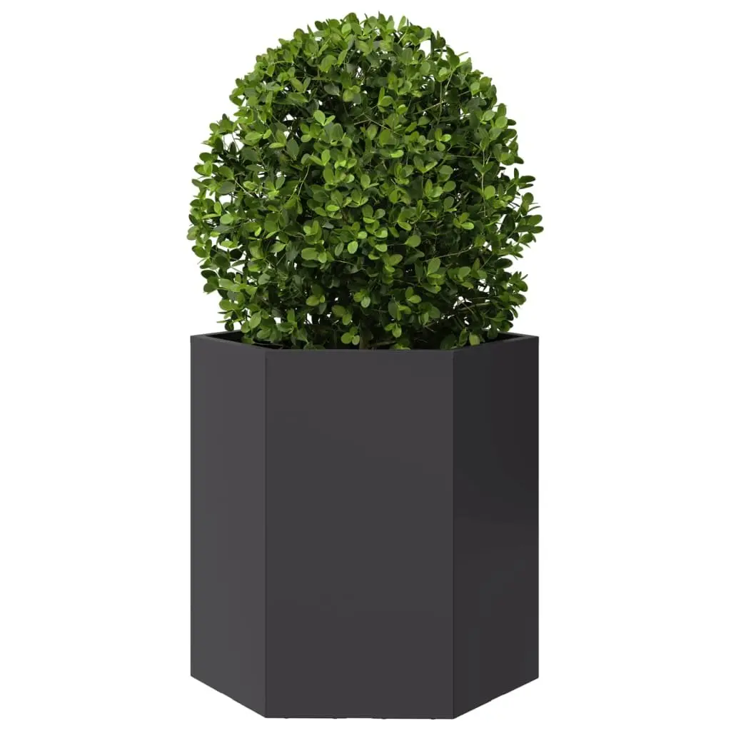 Garden Planters 46x40x45 cm Black Hexagon Raised Outdoor Flower Pot 2 pcs
