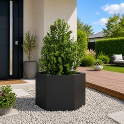 Enhance Your Outdoor Space with a Black Hexagon Planter