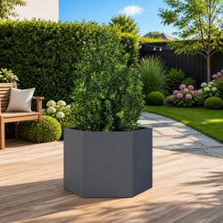 Elevate Your Outdoor Space with a Hexagon Garden Planter