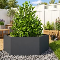 Elevate Your Outdoor Space with a Hexagon Planter