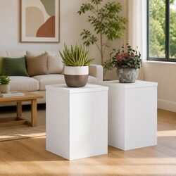 Elevate Your Space with White Plant Stands 20x20x30 cm