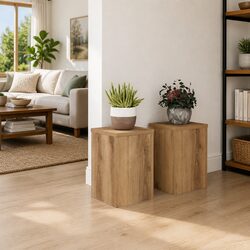 Stylish Plant Stands 2 pcs for Enhancing Your Space