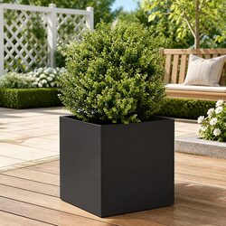 Enhance Your Outdoor Space with a Black Planter Box