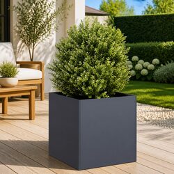 Enhance Your Outdoor Space with This Anthracite Planter Box