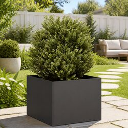 Elevate Your Garden Aesthetics with this Black Planter Box