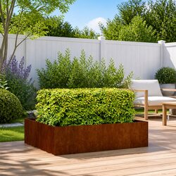 Enhance Your Outdoor Space with a Stylish Raised Garden Planter 100x100x30cm